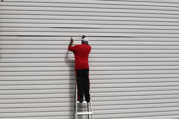 Best Aluminum Siding Installation  in Buffalo, NY